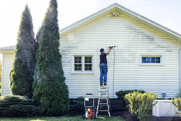 Trusted Murphysboro, IL Pressure Washing Experts